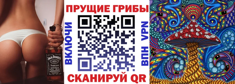 Псилоцибиновые грибы Psilocybe  Ачинск 