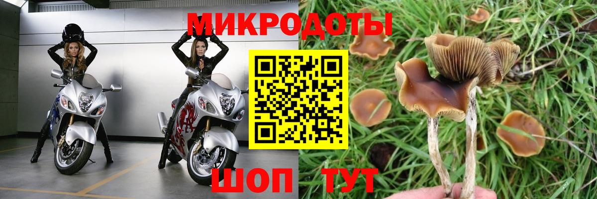 Ачинск  Псилоцибиновые грибы Cubensis  Вход с VPN 